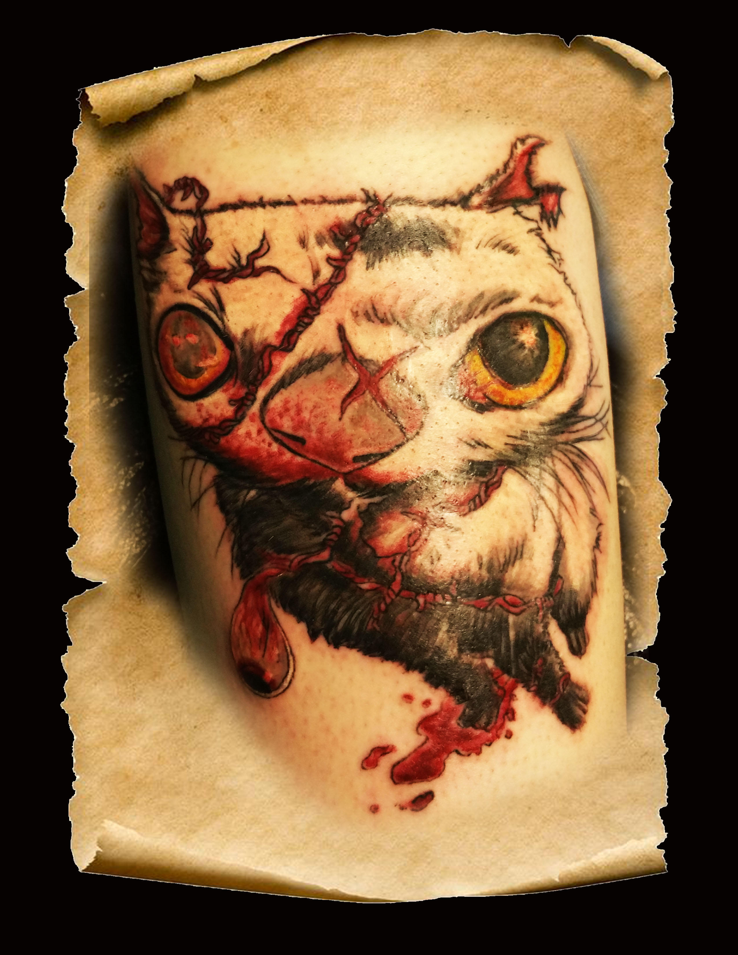 Crazy Cat copy - Copy Crazy Cat copy - Copy