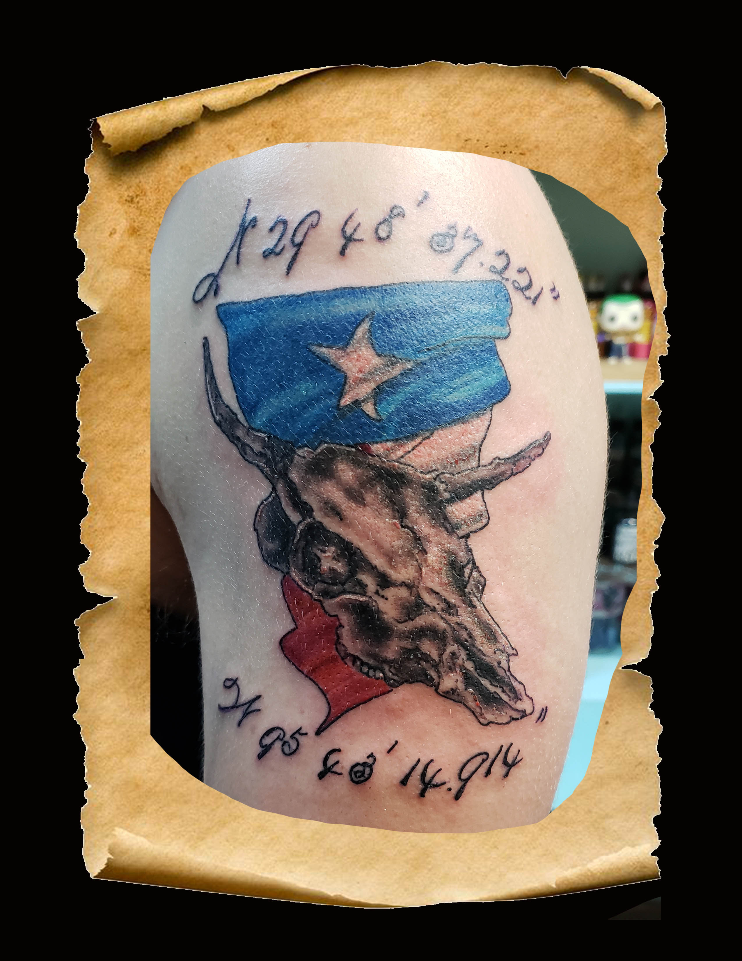 Texas Skull and Flag-1 copy Texas Skull and Flag-1 copy