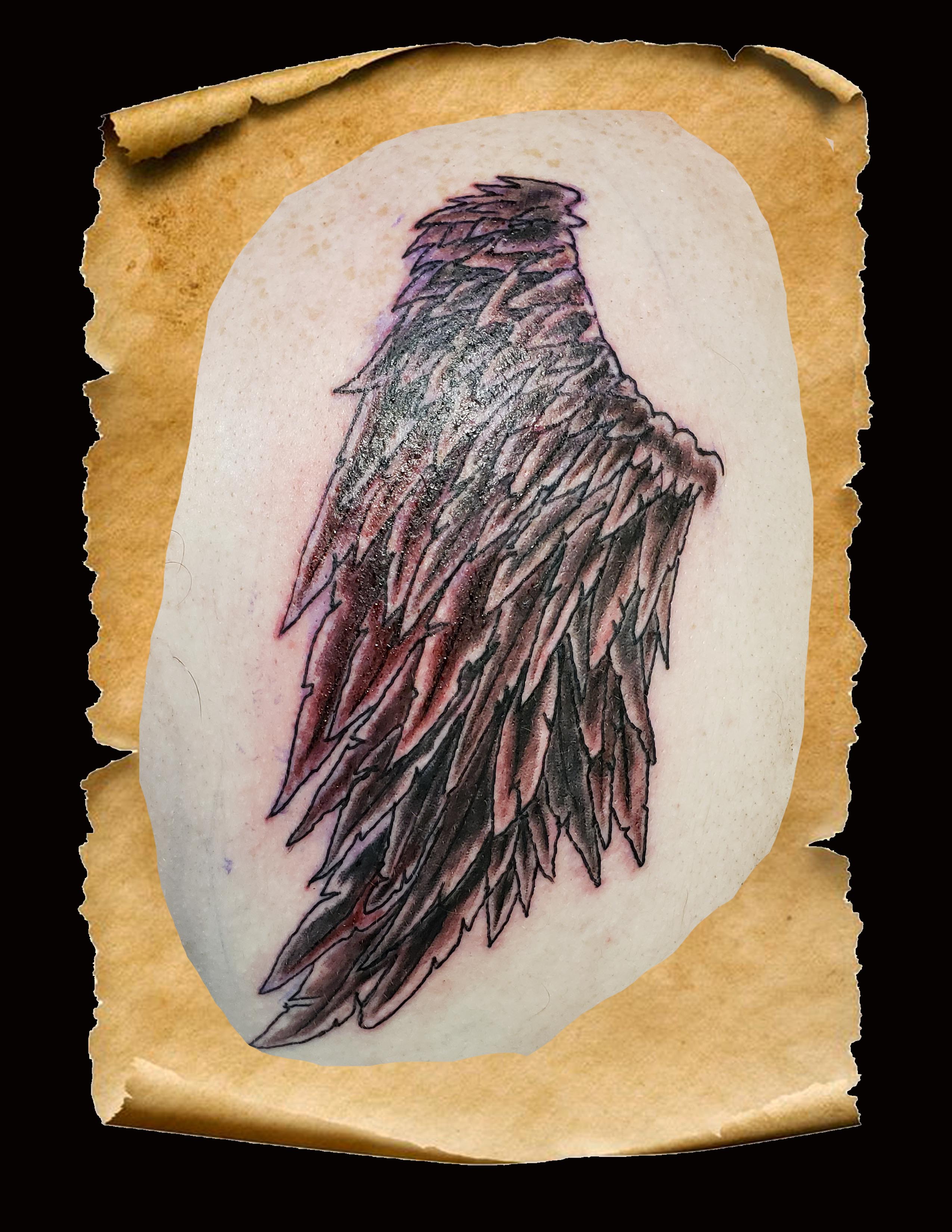 shoulder wing-1 copy shoulder wing-1 copy