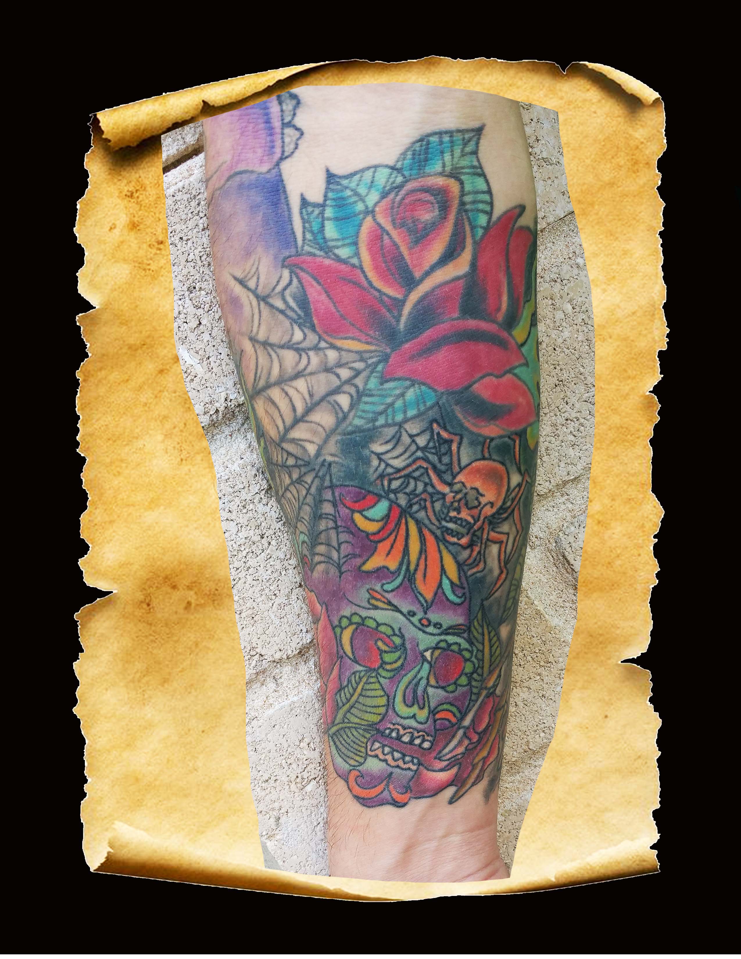 skull and spider copy skull and spider copy