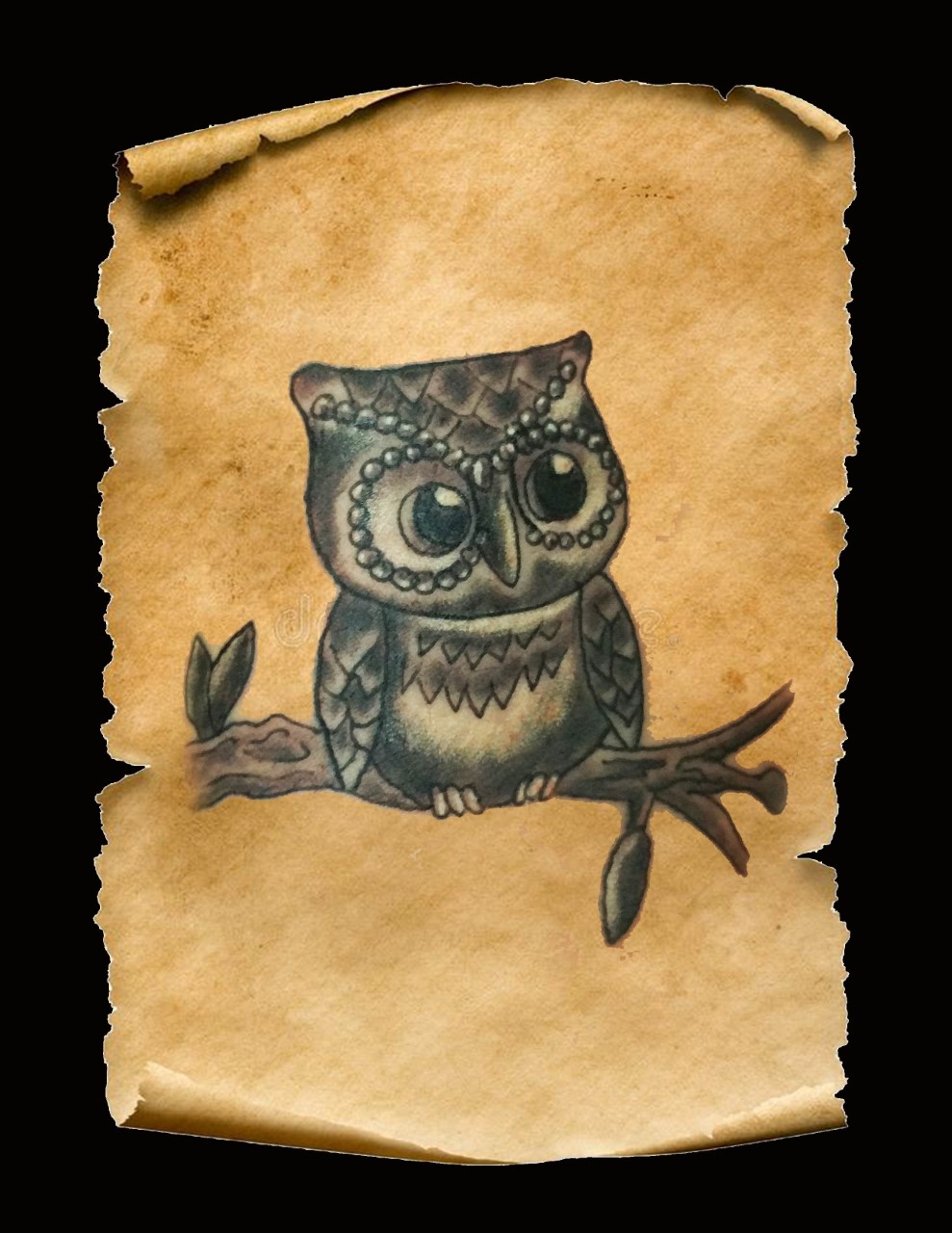 thumbnail_small owl-1