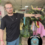 Macon georgia tattoo tattoo fam - 1l Macon georgia tattoo tattoo fam - 1l