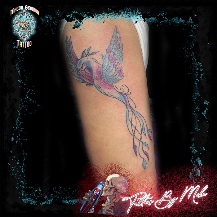 macon georgia tattoo -arm bird macon georgia tattoo -arm bird